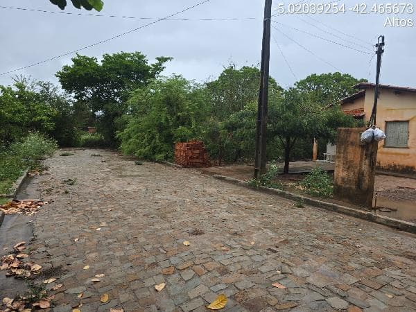 ALTOS - CARRASCO
