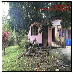BUJARU - CENTRO