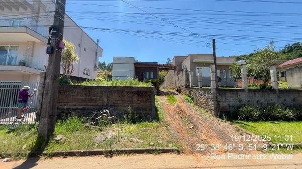 Foto FLORESTA
