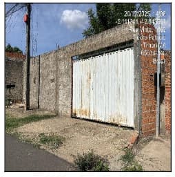 Foto CINTURAO VERDE