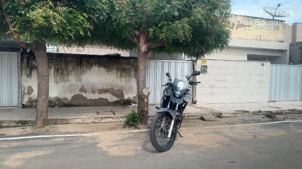 Gato Preto