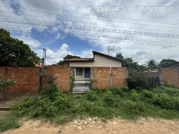 Foto BACURIZEIRO