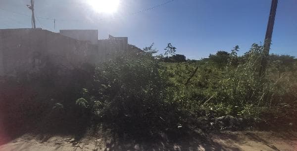 Complexo Jardim