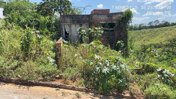 ALIANCA - LOT NOVA ALIANÇA