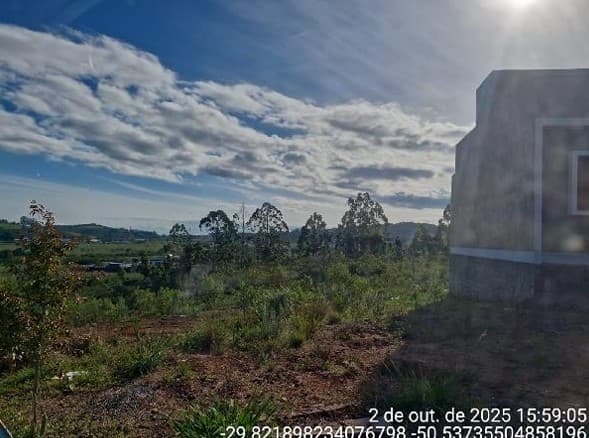 Foto LOT NOVO BOM PRINCIPIO II