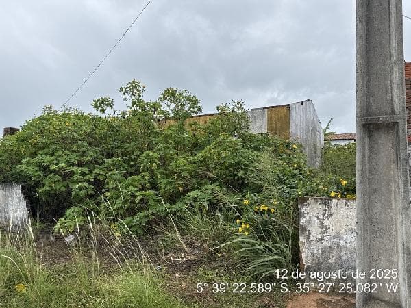 CEARA-MIRIM - LOT RES RUY PEREIRA