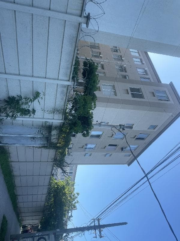 JARDIM DOS IPES I