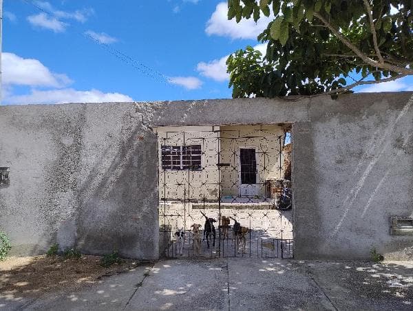 LOT ALTOS DE CAMPINA