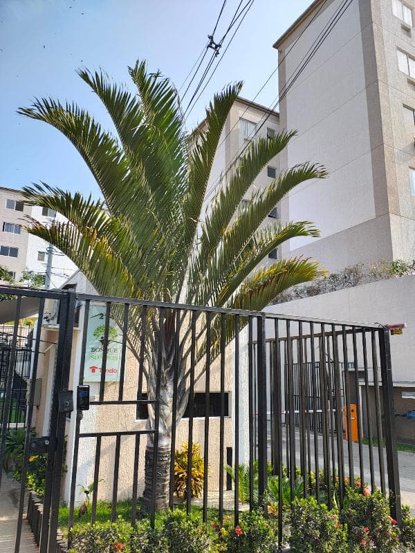 COND BOSQUE DOS SONHOS