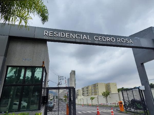 RES CEDRO ROSA