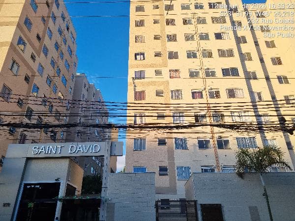 SAINT DAVID