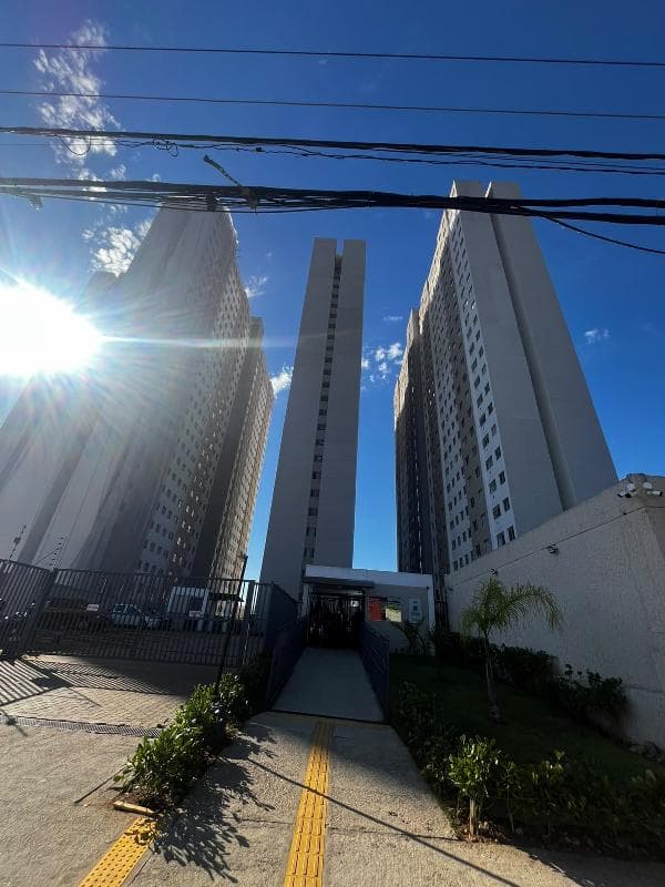 VIVA LIMÃO