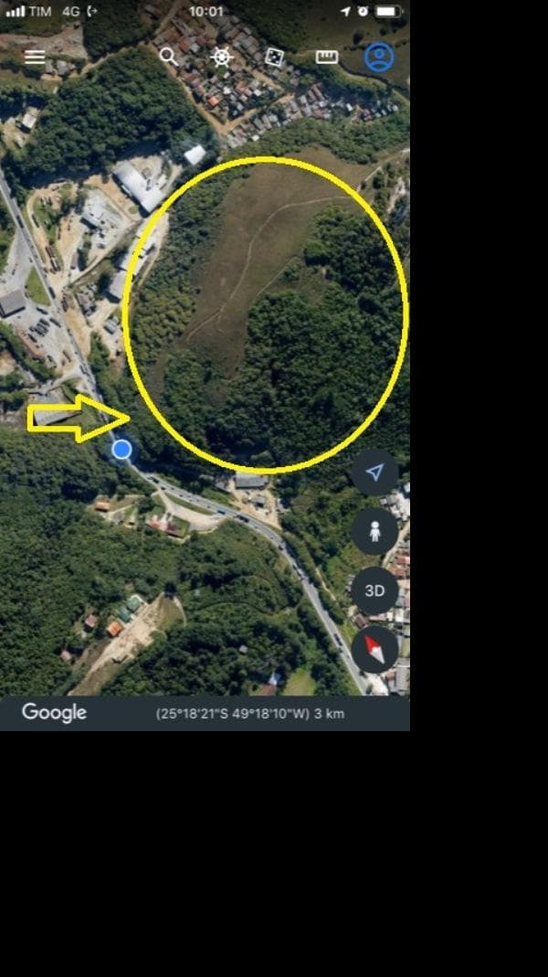 ALMIRANTE TAMANDARE - MATO DENTRO