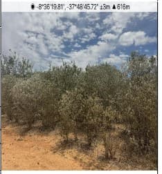 Foto ZONA RURAL
