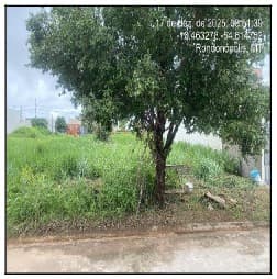 LOT JARDIM GREEN VALLEY