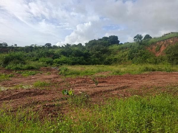 Foto GRANJA SAO BENEDITO