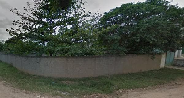 Foto MONTE VERDE