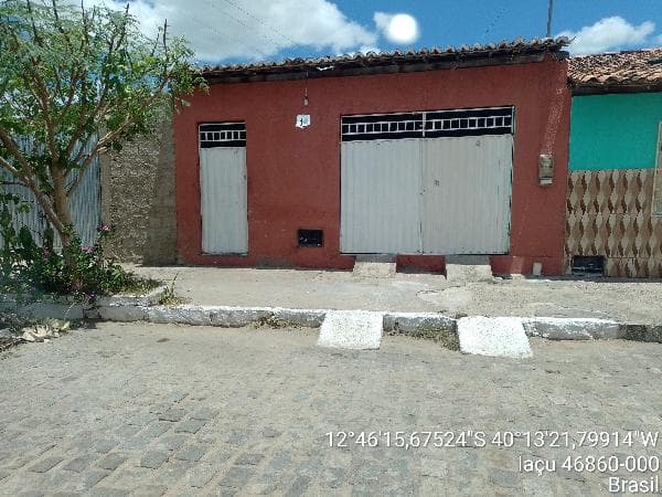 Foto BOIADEIRA