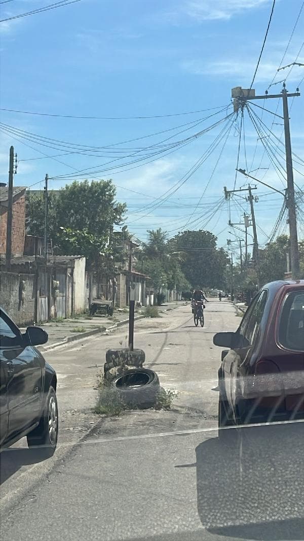 JD CATARINA