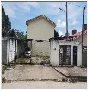 PAULISTA - PAU AMARELO