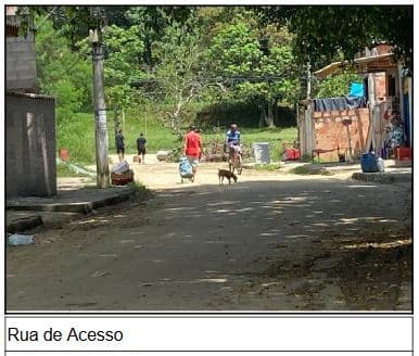 Foto PARQUE PAULISTA