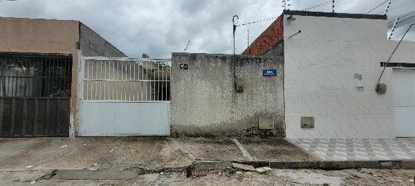 Foto Buriti