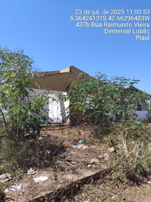 DEMERVAL LOBAO - CIDADE NOVA