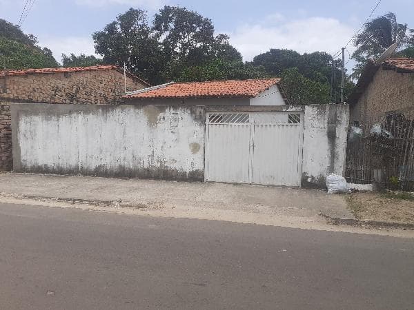 Foto MANGUEIRÃO