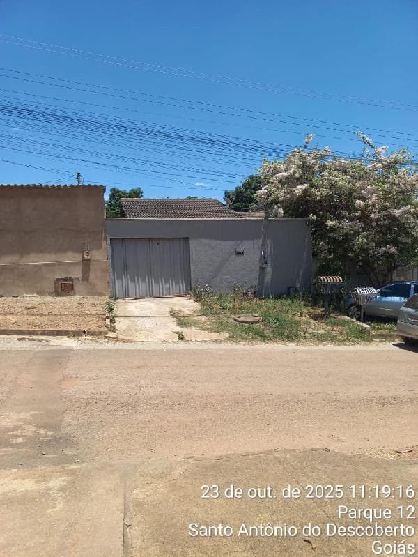 LOT PQ ESTRELA DALVA XII