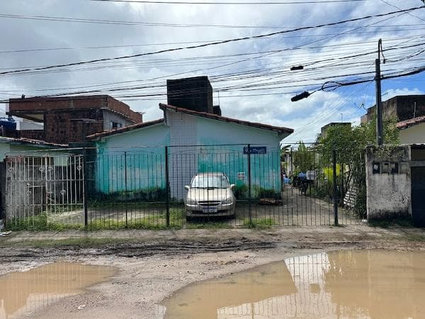 PAULISTA - PAU AMARELO