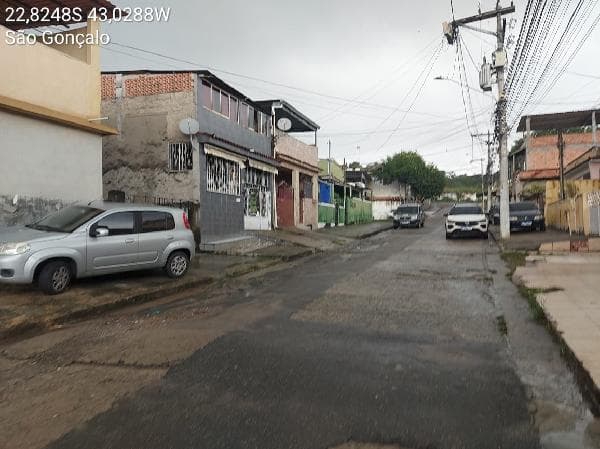 Galo Branco