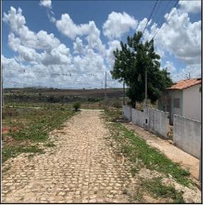 LOT RUY PEREIRA
